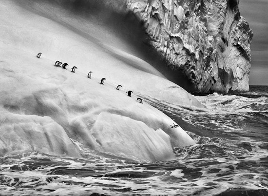 Exposition Sebastião Salgado