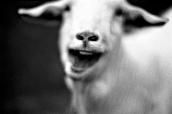 Rencontre avec…