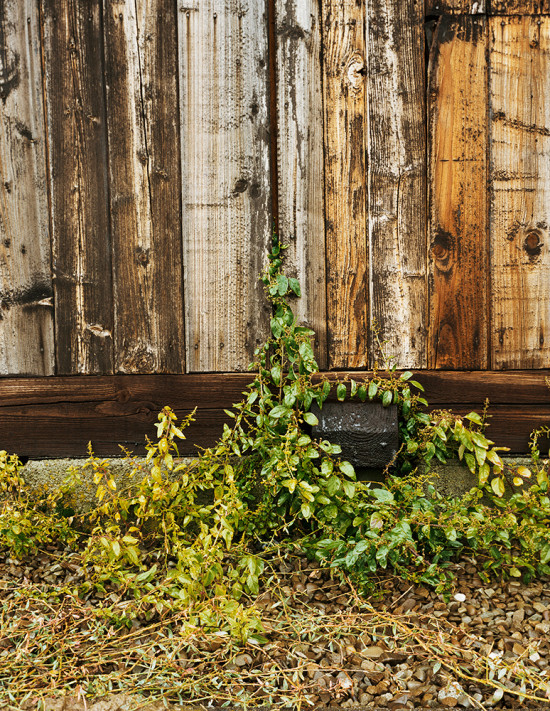 Roberto Frankenberg
