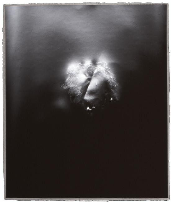 La photographie à coeur ouvert 1850-2015