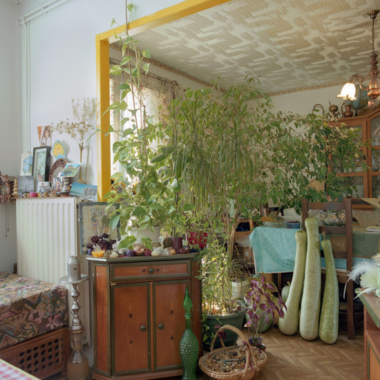 Hortense Soichet