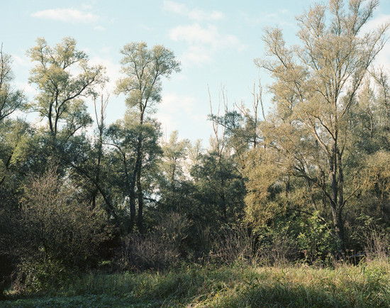 Denis Darzacq