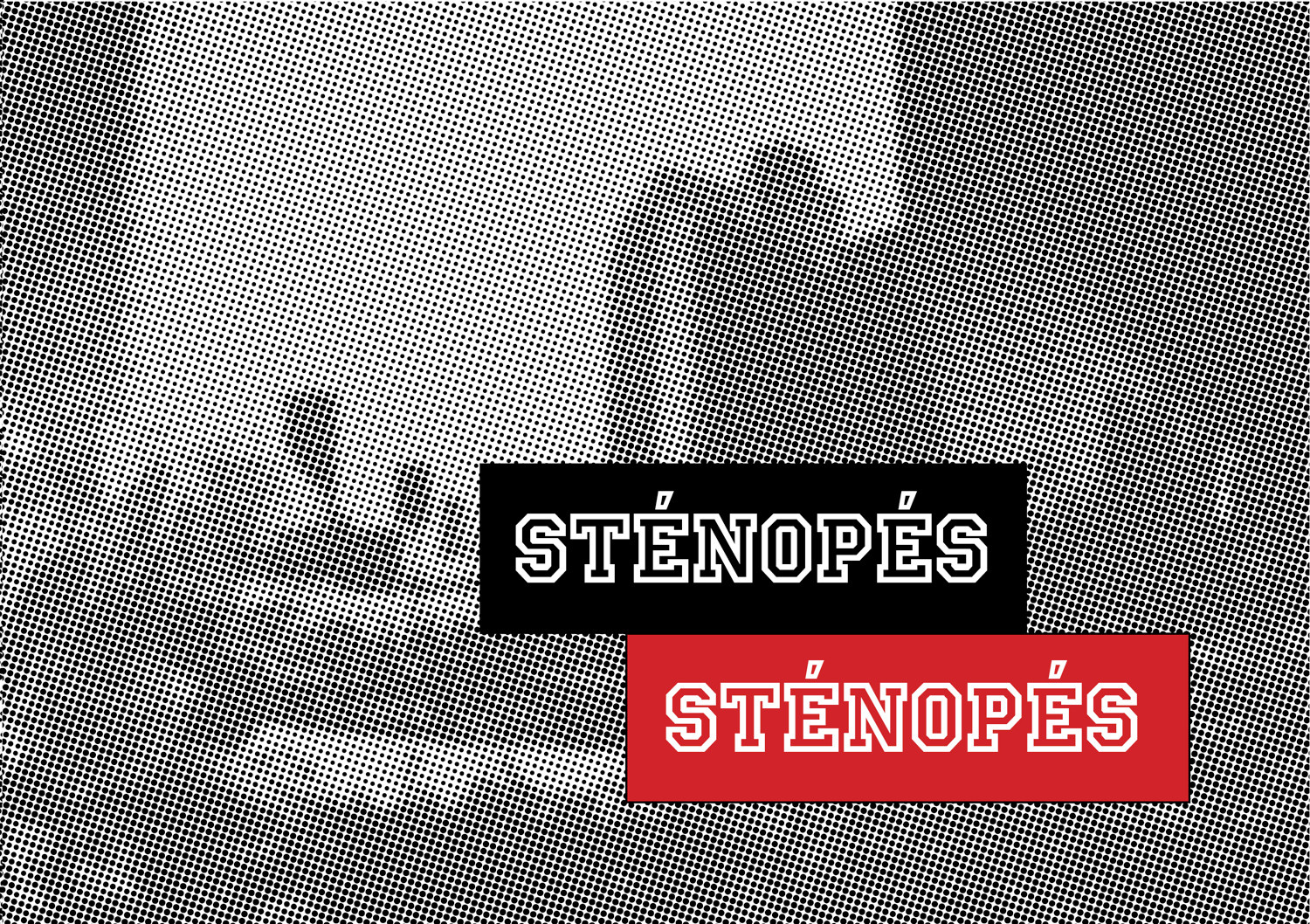 Restitution PEAC – Sténopés