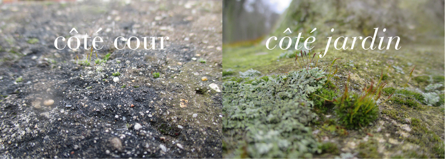 Restitution PEAC – Côté cour / Côté jardin