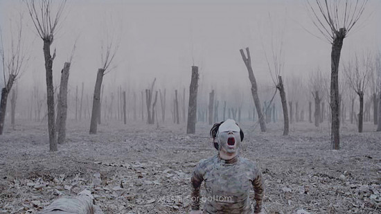 Cycle de films autour des expositions