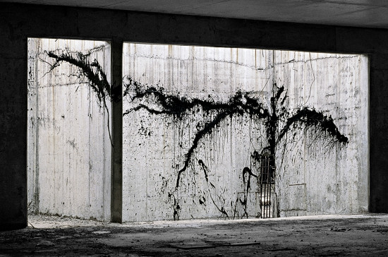 Exposition <br>Nicolás Combarro