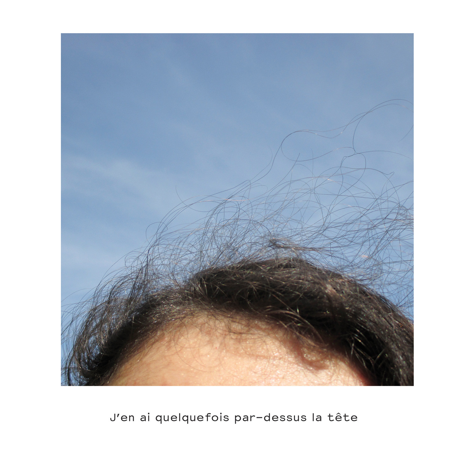 Restitution Stage – Dans tous ses états
