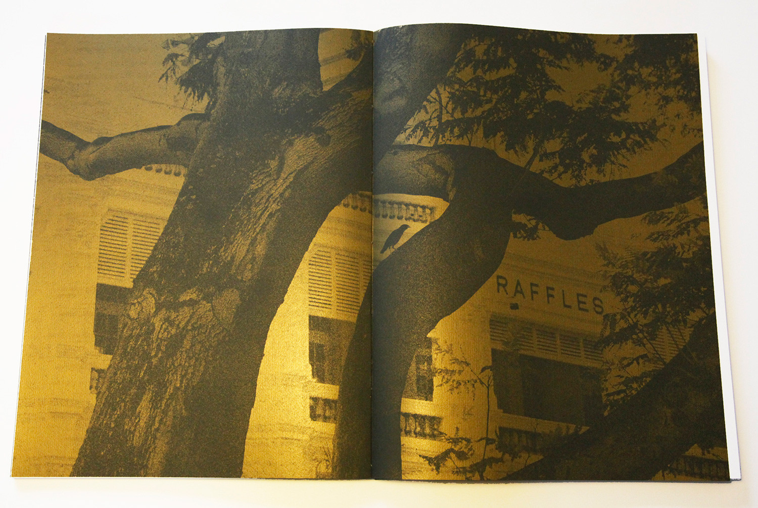 Le choix de la librairie #42