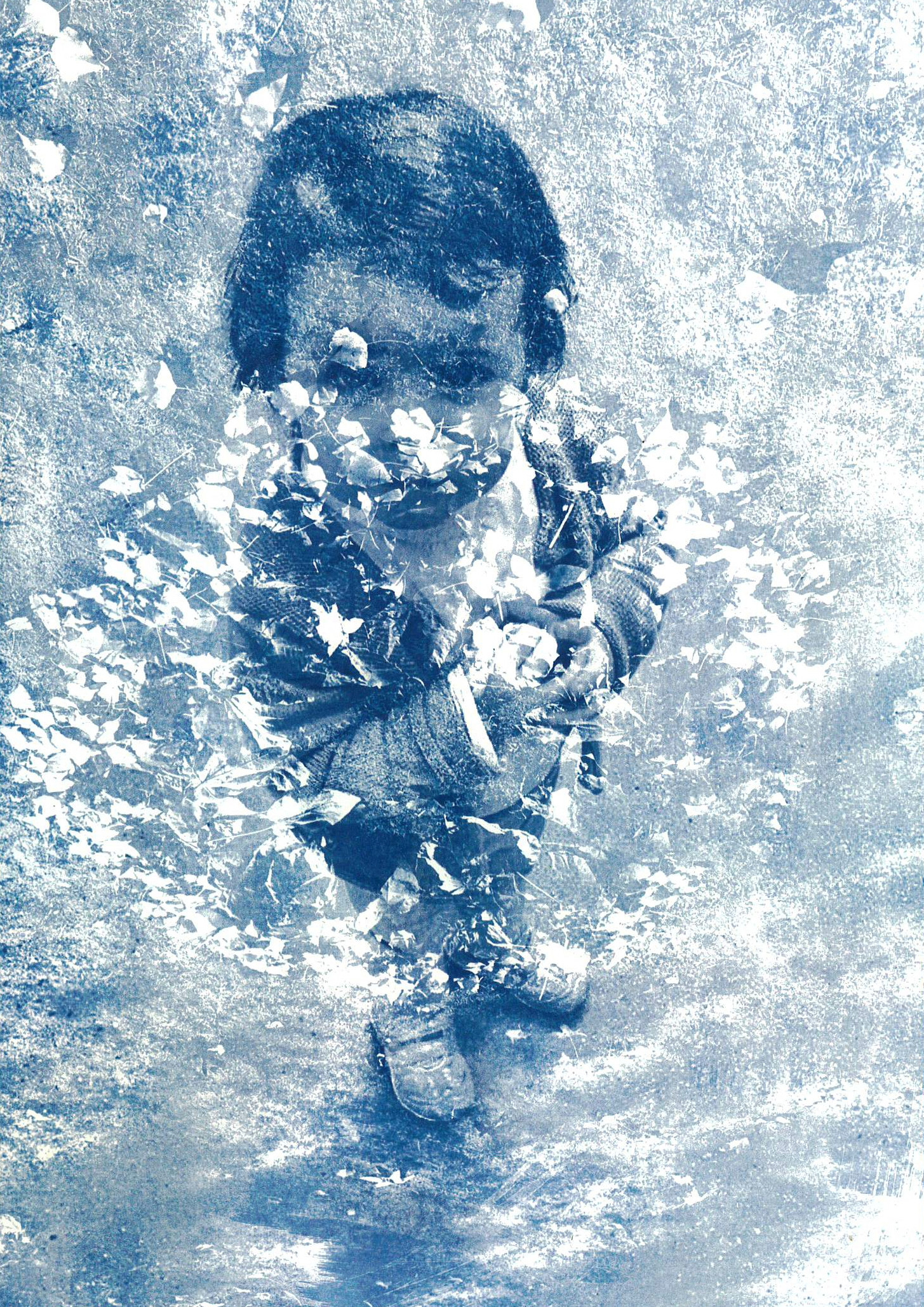 Restitution – Sandwich Cyanotype