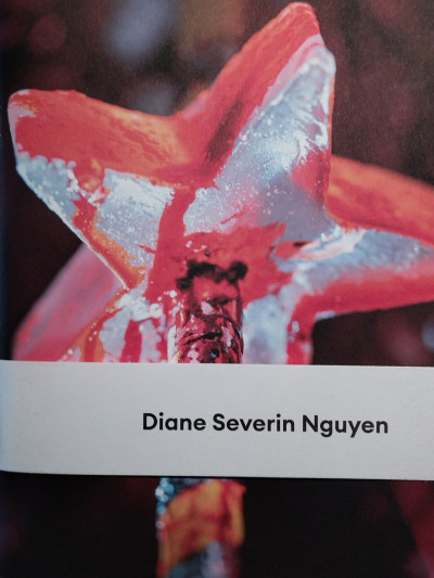 Nguyen – Diane Severin Nguyen ; expo Maison européenne de la photographie 31/03/23 -021/05/23