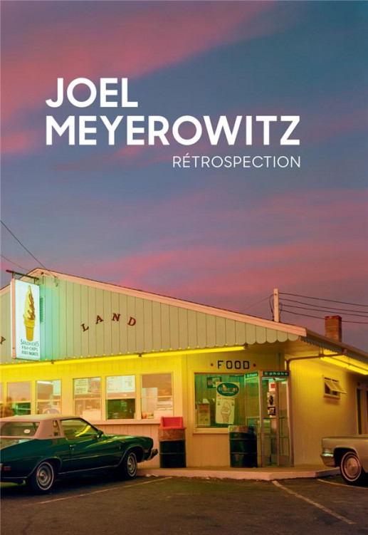 Meyerowitz - Rétrospection