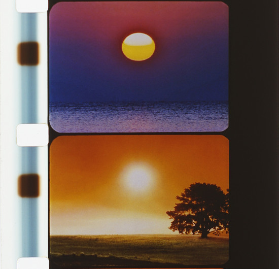 « Nature Never Hurries » : carte blanche Light Cone
