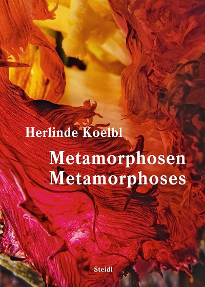 Koelbl – Metamorphoses / Metamorphosen expo Augsbourg ; Munich ; Leipzig 2023-2024