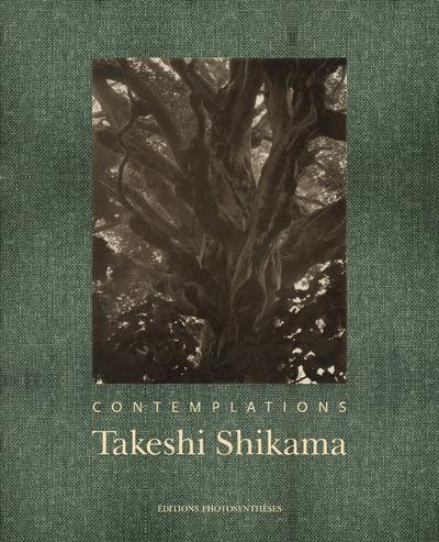 Shikama – Contemplations : à travers la forêt et au-delà