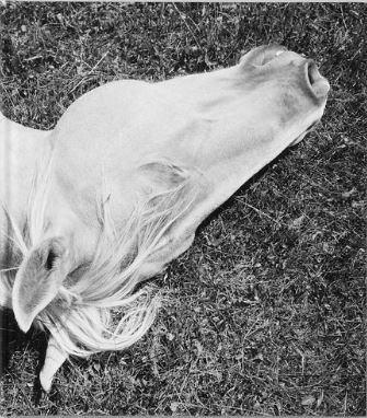 Mimi Plumb - Megalith - still