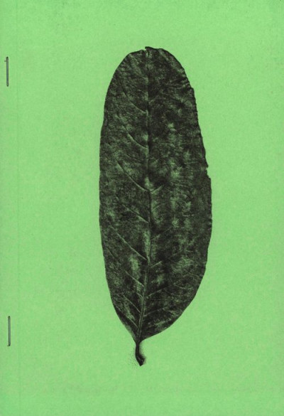 Yeo – Plant Scans