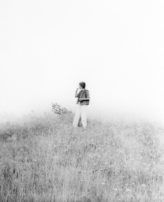 Iris Millot — <em>Le soleil passe à l'embranchement</em>
