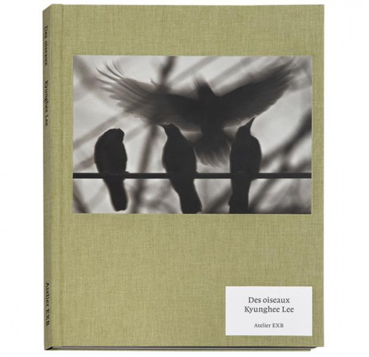 Kyunghee - Des oiseaux