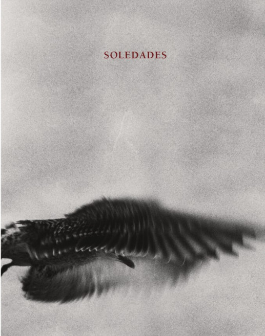 Roudière - Soledades