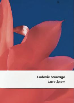 Sauvage - Late Show expo Maison européenne de la photographie 16/10/24- 01/12/24 ; signé par l'artiste