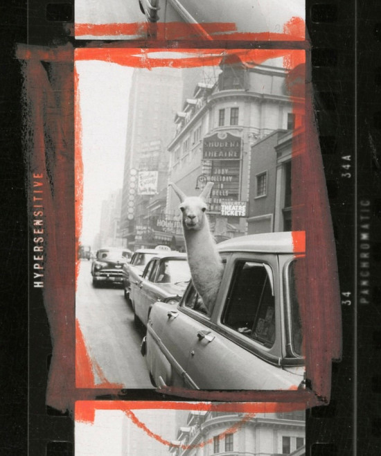 Cycle de conférence — Magnum : Un Monde de Photographie – Circulation / Distribution / Archive