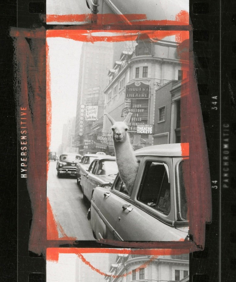 Cycle de conférence — Magnum : Un Monde de Photographie – Circulation / Distribution / Archive