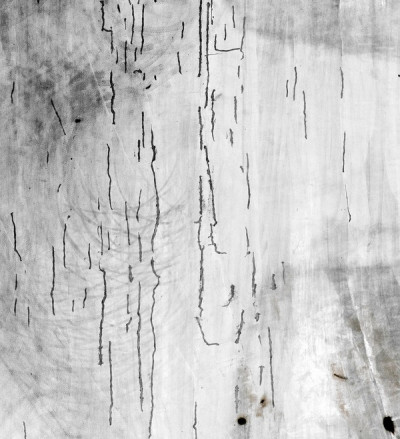 Lenoir – Marges