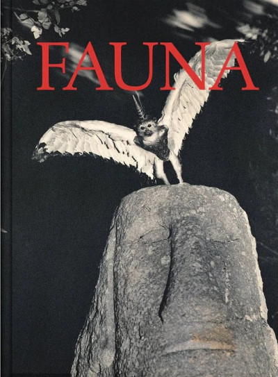 Fontcuberta – Fauna