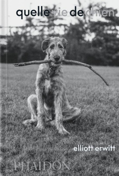 Erwitt – Quelle vie de chien