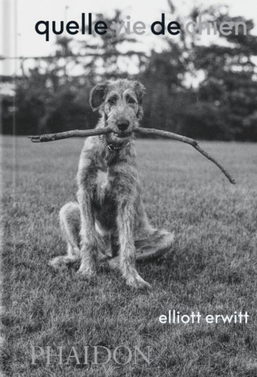 Erwitt - Quelle vie de chien