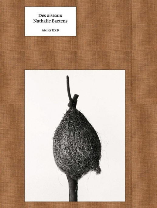 Baetens - Des oiseaux