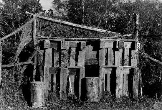 Stage vacances enfants 6-11 ans — Cabane en images avec Dorothée Davoise