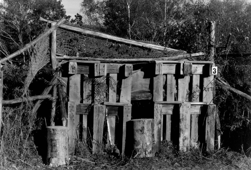 Stage vacances enfants 6-11 ans — Cabane en images avec Dorothée Davoise