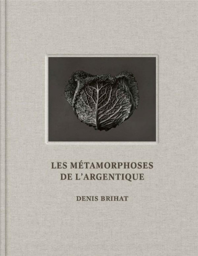 Brihat – Les métamorphoses de l&rsquo;argentique