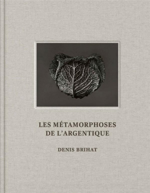 Brihat - Les métamorphoses de l'argentique