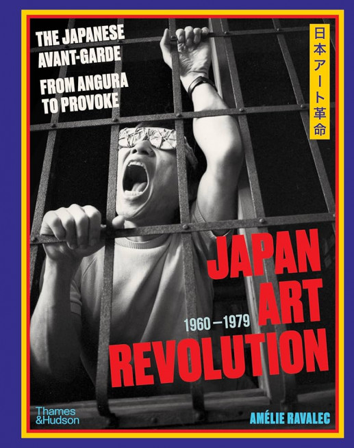 Japan Art Revolution : The Japanese Avant-Garde from Angura to Provoke