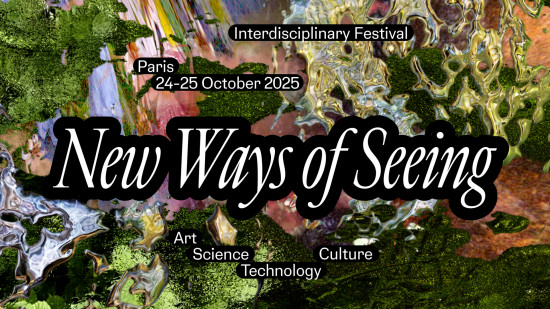 <em>New Ways of Seeing (Revoir le Voir)</em>