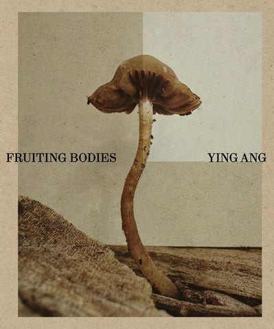 Ang – Fruiting Bodies