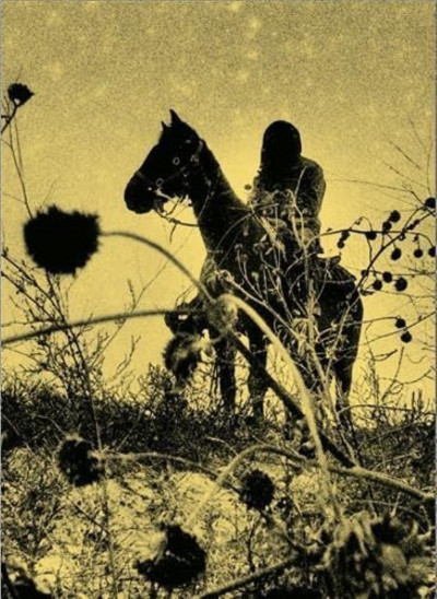 Vansteenwinckel – Aux Ombres