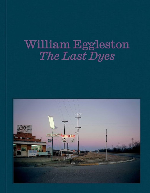 Eggleston - The last dyes