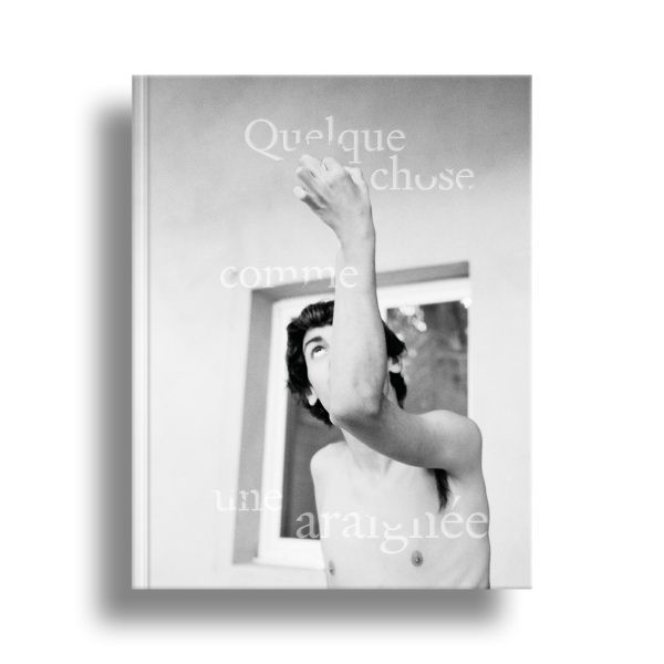 Gronier - Quelque chose comme une araignée