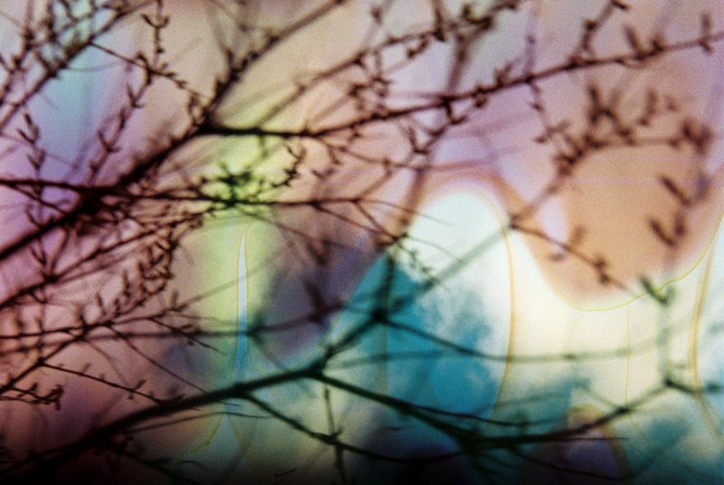 Lauréats du concours PhotoFocus 2025 – Haut en couleurs