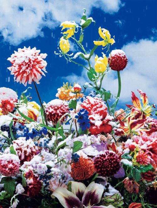 Ninagawa – Eternity in a Moment Vol 1