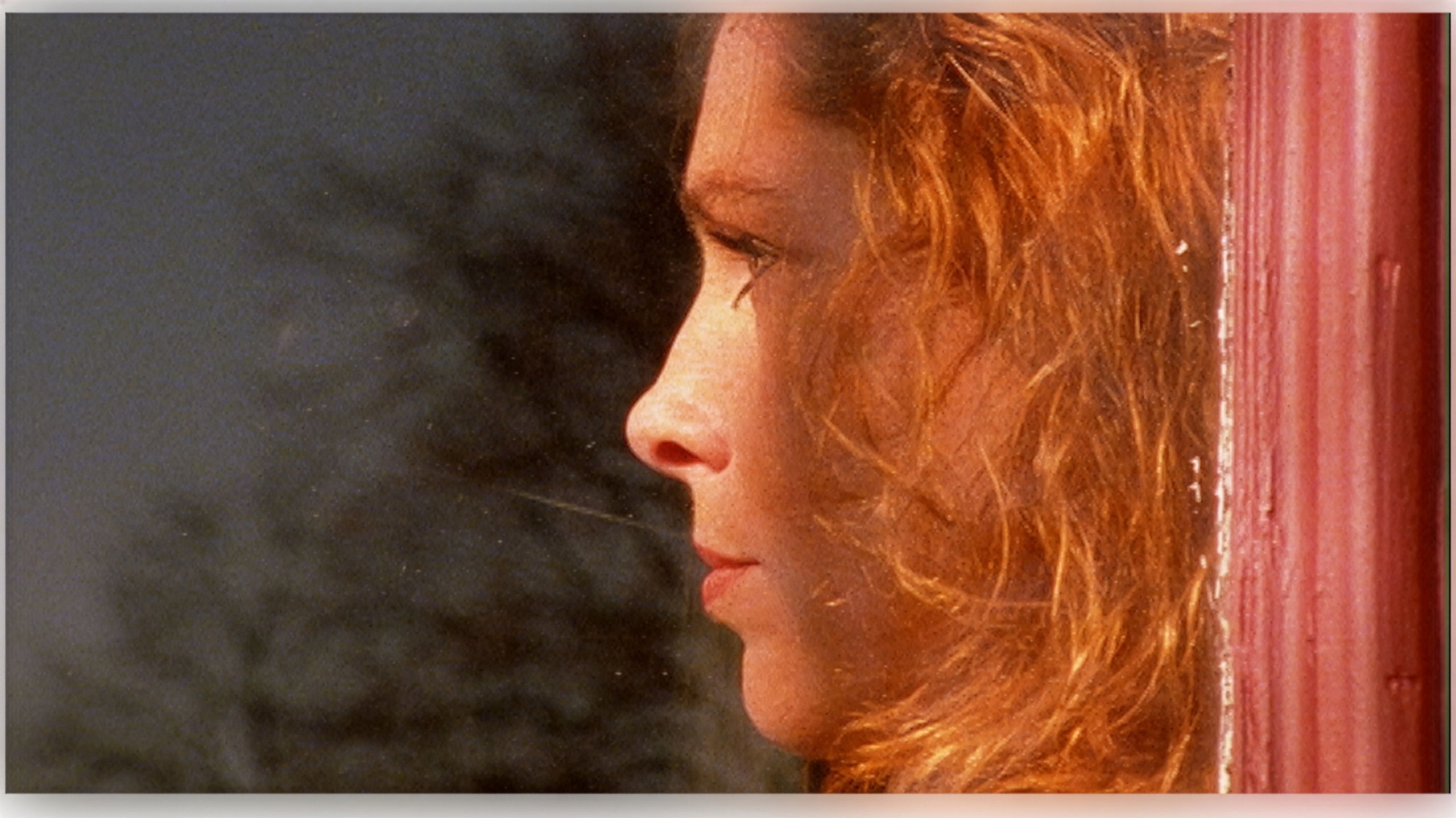 Projection du film <em>Thru’ Dutch Eyes</em> de Pieter van der Houwen