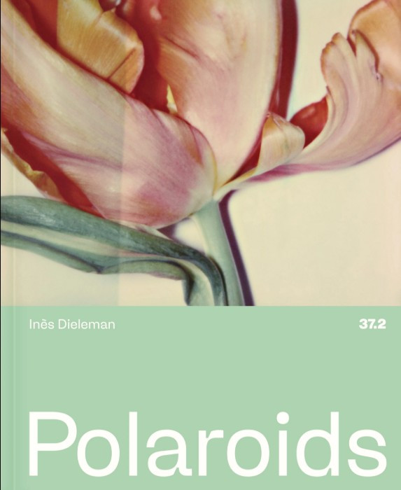 Dieleman – Polaroids