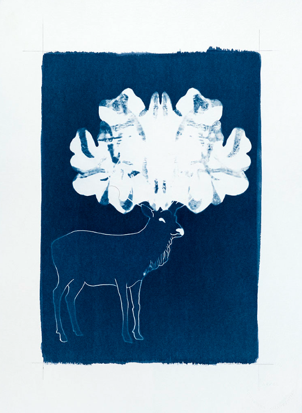 Atelier de pratique en famille – Du portrait au cyanotype avec Elisabeth Schneider