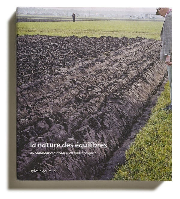 Gouraud – La nature des équilibres