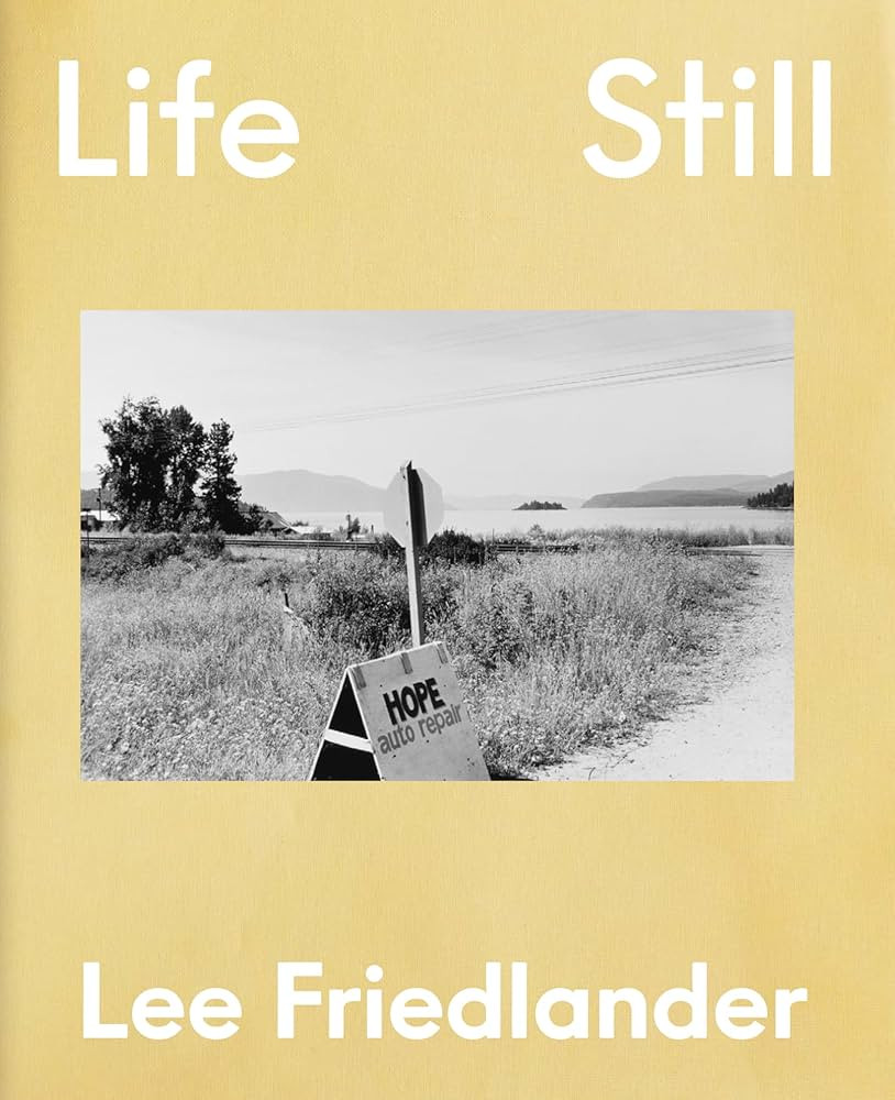 Friedlander - Life Still