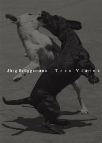 Bruggemann - Tres Viajes
