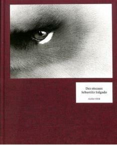 Salgado – Des oiseaux ; signé par Sebastião Salgado